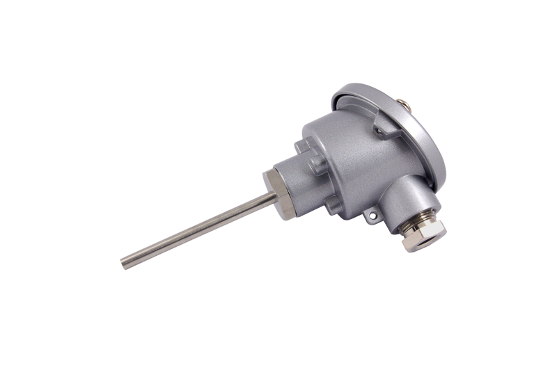 Widerstandsthermometer WTR 330 als Prozessfühler mit glatter Schutzarmatur