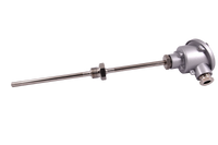 Widerstandsthermometer WTR 310 als Prozessfühler mit Halsrohr