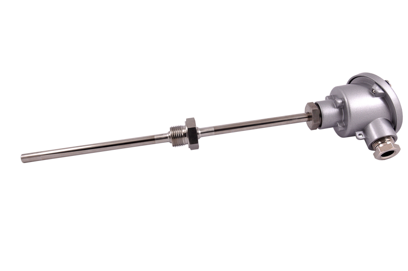 Widerstandsthermometer WTR 310 als Prozessfühler mit Halsrohr